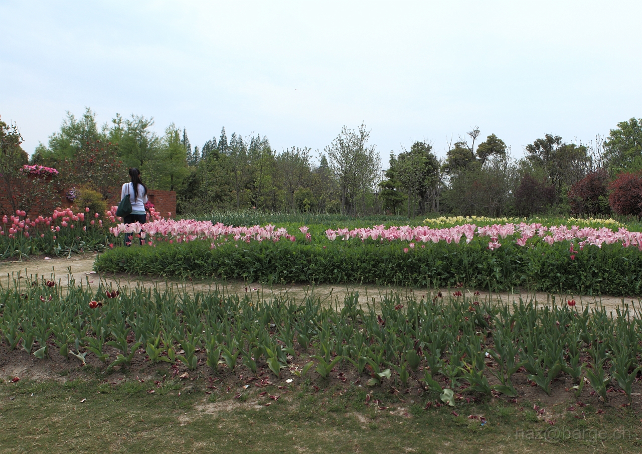 EOS 5D Mark II16_04_20134948.JPG